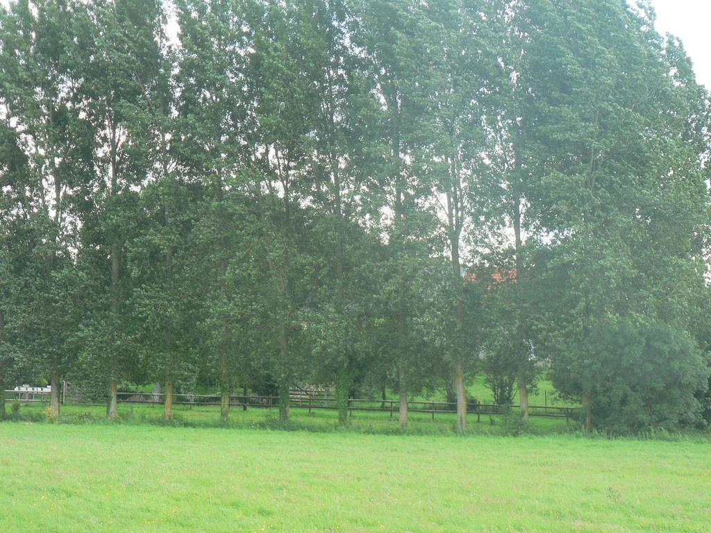 Gite De L'Aure Trevieres Exterior photo
